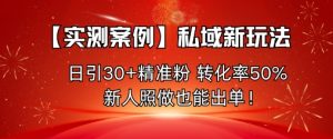 【实测案例】私域新玩法，日引30+精准粉，转化率50%，新人照做也能出单！-淘金日记