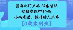 蓝海冷门产品：16条笔记私域变现9750米小众赛道，操作的人不多-淘金日记