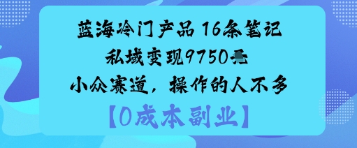 蓝海冷门产品:16条笔记私域变现9750米小众赛道,操作的人不多-淘金日记