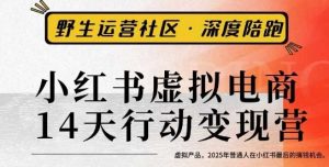 小红书虚拟电商14天变现训练营3.0,虚拟产品,2025年普通人在小红书最后的搞钱机会-淘金日记