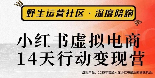 小红书虚拟电商14天变现训练营3.0,虚拟产品,2025年普通人在小红书最后的搞钱机会-淘金日记