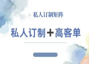 小红书自媒体咨询师IP教程,私人定制+高客单-淘金日记