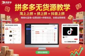 拼多多无货源教学,淘上拼+拼上拼+抖上拼,精细化蓝海+运营进阶+终极玩法,全套运营教程-淘金日记