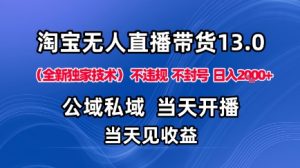 淘宝无人直播13.0,公域私域技术,不封号,不违规布局下半年旺季赛道,日入1K+(独家技术)【揭秘】-淘金日记