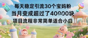 每天稳定引流30个宝妈粉当月变成超过了1W+项目流程非常简单适合小白-淘金日记