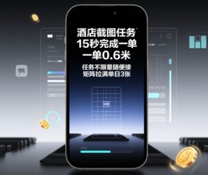 酒店截图任务，15秒完成一单，一单0.6米，任务不限量随便接，矩阵拉满单日3张【揭秘】-淘金日记
