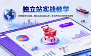 独立站实战教学,跨境经营全攻略,助您告别流量依赖,掌握跨境经营的终极奥-淘金日记