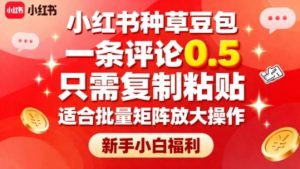小红书种草豆包,一条评论0.5,只需复制粘贴,适合批量矩阵放大操作,新手小白福利-淘金日记