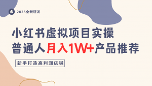 小红书虚拟项目实操指南,普通人月入1W+产品推荐,直接抄-淘金日记