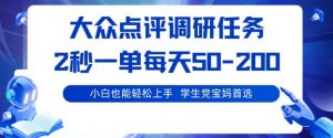 大众点评调研，电脑任务，2秒一单每天50-2张，学生党宝妈首选【揭秘】-淘金日记