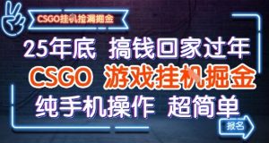 25年底搞钱回家过年，CSGO游戏挂G掘金，纯手机操作超简单【揭秘】-淘金日记