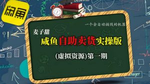 麦子甜咸鱼自助卖货实操版(虚拟资源)一个会自动搞钱的机器-淘金日记