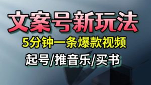 文案号新玩法,5分钟一条爆款视频,流量高,起号快,多方位变现-淘金日记
