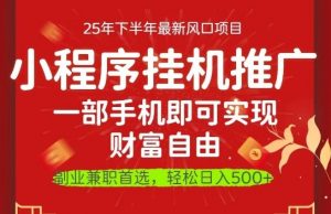 一部手机即可实现财富自由，微信小程序推广最新玩法教学，操作简单容易上手【揭秘】-淘金日记