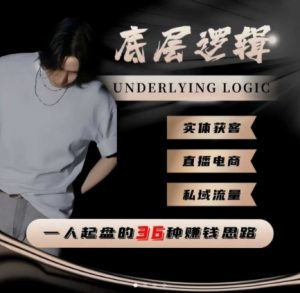 一个人起盘的底层逻辑,私域流量-直播电商-实体获客,一人起盘的36种賺钱思路-淘金日记