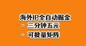 海外ip全自动掘金,2025必做蓝海项目,3分钟落地,矩阵直接开干【揭秘】-淘金日记