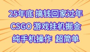 25年底搞钱回家过年,CSGO游戏挂G掘金,纯手机操作超简单【揭秘】-淘金日记