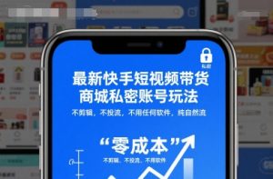 最新快手短视频带货商城私密账号玩法,不剪辑,不投流,不用任何软件,纯自然流-淘金日记