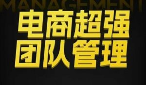 电商超强团队管理,组织绩效,到用人执行,分权合伙-淘金日记