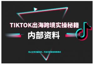 TikTok跨境电商0-1搭建运营,TK出海跨境实操秘籍(10月更新)-淘金日记