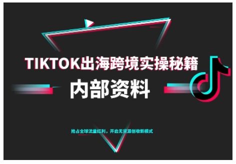 TikTok跨境电商0-1搭建运营,TK出海跨境实操秘籍(10月更新)-淘金日记