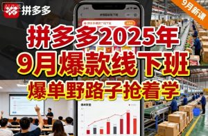 拼多多2025年9月爆款线下班，爆单野路子抢着学-淘金日记