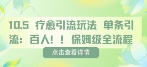 疗愈引流玩法，单条引流百人，保姆级全流程-淘金日记