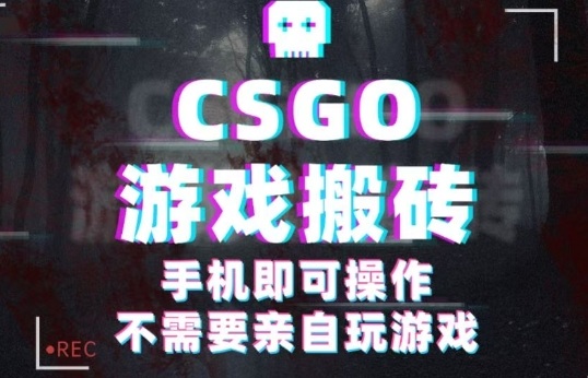 CSGO游戏挂G捡漏,单日扫货5张+,年底小高峰上车可吃肉,手机即可操作,兼职副业创业网创【揭秘】-淘金日记