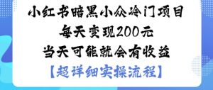 小红书暗黑小众冷门项目每天变现2张当天可能就会有收益-淘金日记