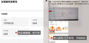 游戏加速器项目4.0_最新打法思路(爱玩游戏也能边玩边被动收益)-淘金日记