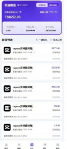 2025风口TK剪映capcut拉新项目，极限高客单，市场空白，2025下半年真正的蓝海项目-淘金日记