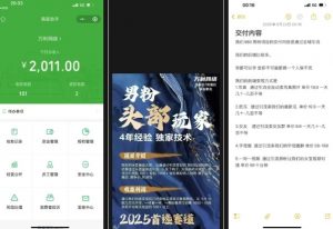 外面收费980全新男粉变现项目，竞争小，利润高，多种方式变现，独家技术-淘金日记