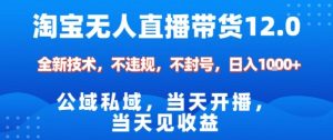 淘宝无人直播12.0,公域私域技术,不封号,不违规布局双十一流量风口,日入1k(独家技术)【揭秘】-淘金日记