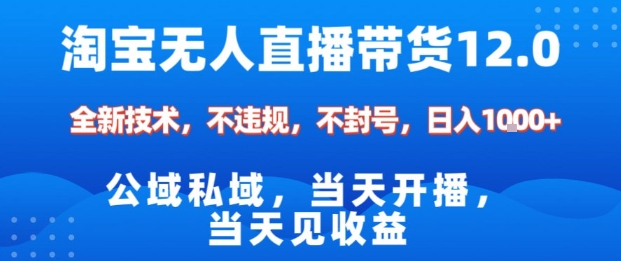 淘宝无人直播12.0,公域私域技术,不封号,不违规布局双十一流量风口,日入1k(独家技术)【揭秘】-淘金日记