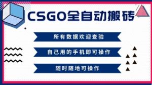 CSGO全自动搬砖,年底钱回家好项目,当天可拿到结果,新手小白轻松月入1W+【揭秘】-淘金日记