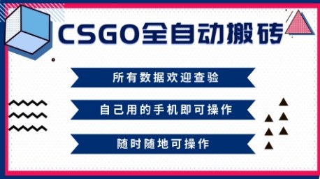 CSGO全自动搬砖,年底钱回家好项目,当天可拿到结果,新手小白轻松月入1W+【揭秘】-淘金日记