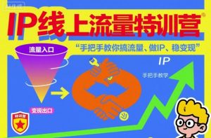 IP线上流量特训营，手把手教你搞流量、做IP、稳变现-淘金日记