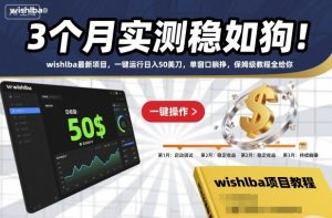 3个月实测稳如狗！wishlba最新项目，一键运行日入50美刀，单窗口躺挣，保姆级教程全给你【揭秘】-淘金日记