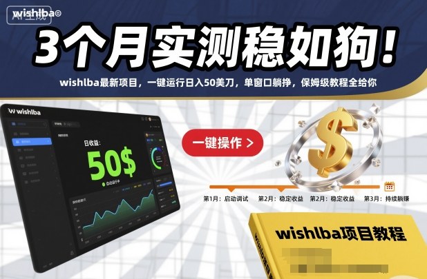 3个月实测稳如狗！wishlba最新项目，一键运行日入50美刀，单窗口躺挣，保姆级教程全给你【揭秘】-淘金日记