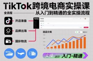TikTok跨境电商实操课，从入门到精通的全实操流程-淘金日记