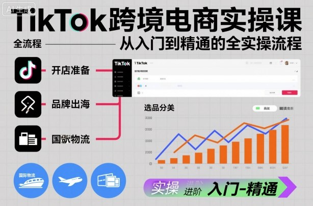 TikTok跨境电商实操课,从入门到精通的全实操流程-淘金日记