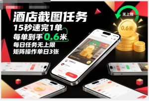 酒店截图任务，15秒速完1单，每单到手0.6米，每日任务无上限，全网首发玩法，矩阵操作单日3张【揭秘】-淘金日记