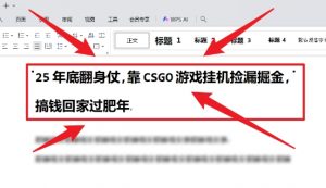 25年底翻身仗,靠CSGO游戏挂G捡漏掘金,搞钱回家过肥年【揭秘】-淘金日记