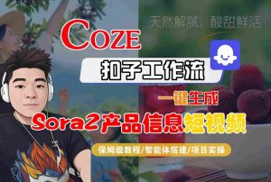 Coze扣子智能体工作流一键生成“SORA2产品信息“短视频,全流程保姆级教学-淘金日记
