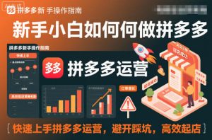 新手小白如何做拼多多，快速上手拼多多运营，避开踩坑，高效起店-淘金日记