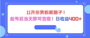 11月份男粉新路子，起号后当天即可变现，日收益4张-淘金日记