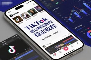 TikTok搬运解说教程，稳定收益，操作简单易懂，批量可做，持续稳定-淘金日记