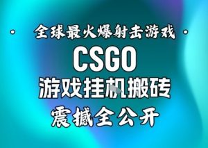 【年底大揭秘】基于全球最火爆的射击CSGO游戏挂G搬砖，日入5张+，震撼公开-淘金日记