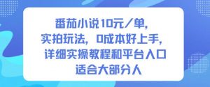 番茄小说10米每单,实拍玩法,0成本好上手,详细实操教程和平台入口适合大部分人-淘金日记