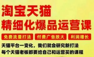淘宝天猫精细化爆品运营课,免费流量打法-付费广告放大-利润增长-三大核心痛点,一次全部解决-淘金日记
